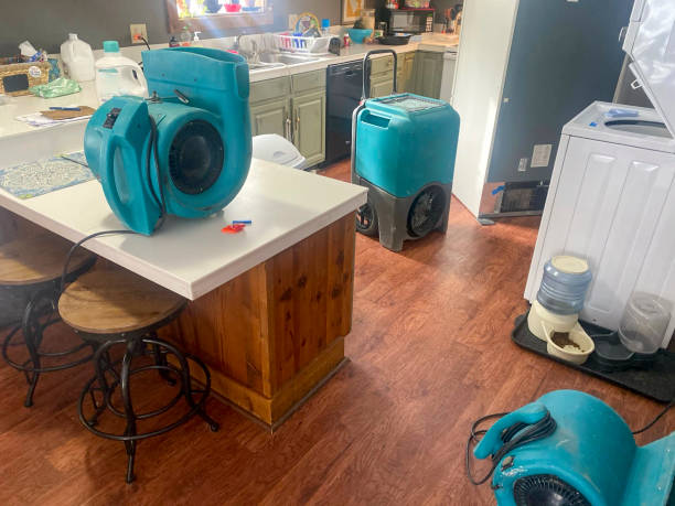 Best Basement water damage restoration  in Mechanicstown, NY