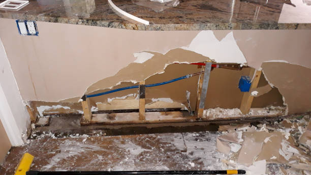 Best Mold removal after water damage  in Mechanicstown, NY
